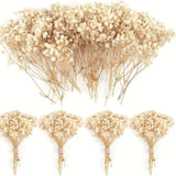 120 Pcs Mini Dried Baby Breath Flowers Gypsophila Ivory Flowers Dried Flowers fo Dried Flower