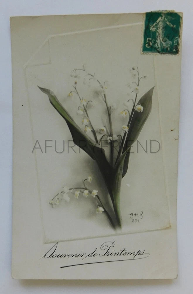Vintage souvenir postcard with lily of the valley flowers, French text 'Souvenir de Printemps'