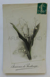 ANTIQUE 1910  RPPC LILIES OF THE VALLEY FLOWERS SOUVENIR OF SPRINGTIME FRANCE Lily