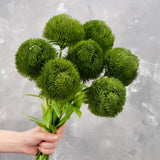 20" Faux Dianthus Green Ball Stem | Artificial Plant | Greenery | Floral | Gift Green Plant