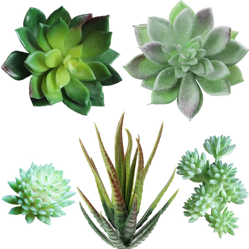 5 Pcs Assorted Artificial Succulents Plants Unpotted Small Green Cactus Echev... Green Plant