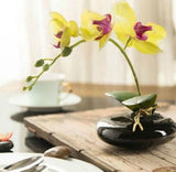 20 SEEDS for Yellow ORCHID rare flower garden exotic house plant USA Seller Garden Plants