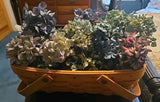 10 Dried Hydrangea, Blue, Green, Purple, Cream DIY Wedding Rustic Farmhouse Dried Flower