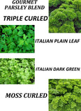 400 GOURMET PARSLEY BLEND  - FRESH SEEDS FRESH HARVEST FOR GARDENS Garden Plants