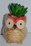 Artificial Succulent Plant in Owl Planter About 4 inch Green Plant