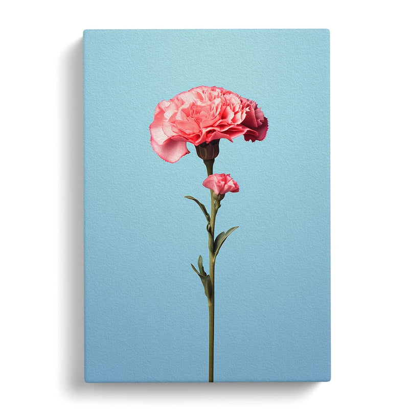 Framed canvas wall art print with a pink carnation flower on blue background