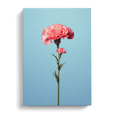 Carnation Flower Minimalism No.2 Canvas Wall Art Print Framed Picture Home Decor Carnation