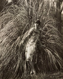 LOUISE BROOKS In the Pampas Grass 1926 - Movie Star Image - 8 x 10 inch Photo Pampas Grass