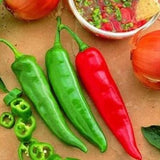 25 + seeds Garden Salsa hot pepper garden planting spicy food Garden Plants
