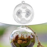 Hanging Glass Ball Garden Pots Succulent Tealights Celebration Wedding Garden Plants