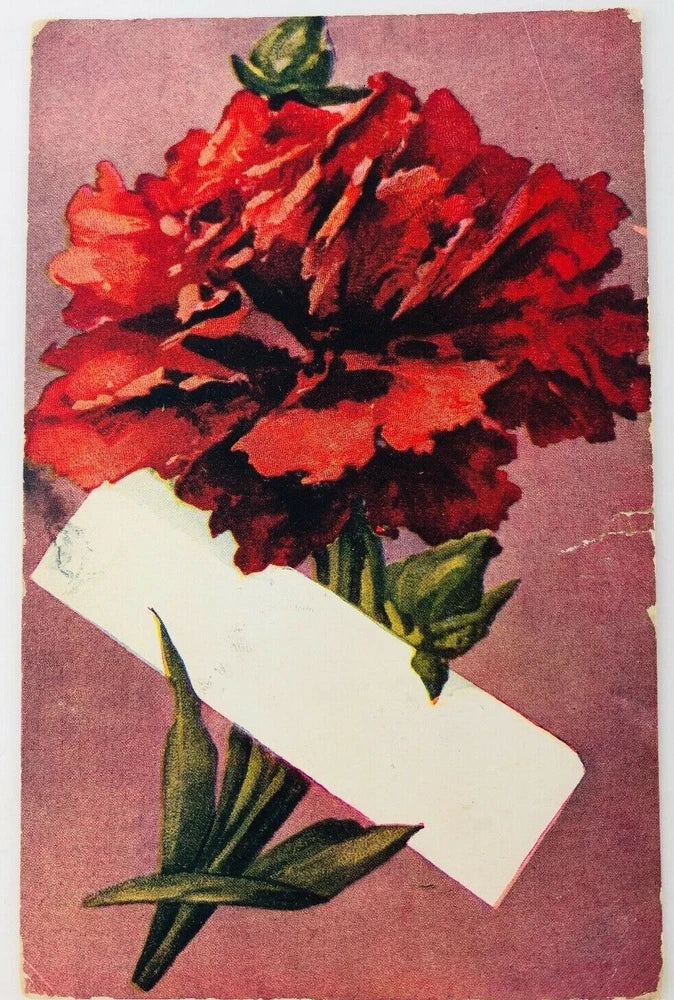 Vintage Greeting Postcard Red Flower Carnation with Purple Background 1908 Carnation