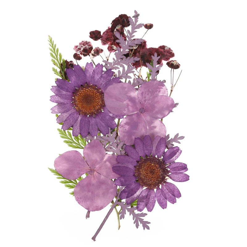 Pressed purple dried flower set with petals and small leaves for DIY crafts