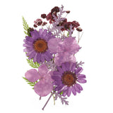 Dried Pressed Flowers Real Pressed Flowers Dry Leaves for DIY Crafts Purple Dried Flower