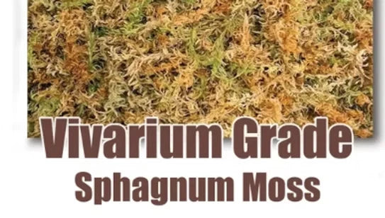 Vivarium-grade sphagnum moss, dense green and tan moss clumps
