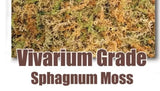 Sphagnum Moss - Vivarium Grade AAA   Sphagnum cristatum Orchids