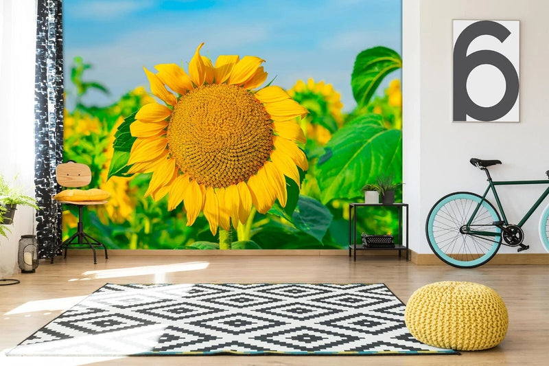 3D Sunflower Flower ZHUA44957 Wallpaper Wall Murals Removable Self-adhesive Ann Sunflower
