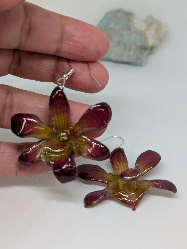 Mini Dendrobium Olive, Real Orchid in Resin Earrings Orchids