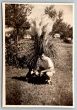 Vtg B&W Snapshot Man Crouching With Dog Lassie By Large Pampas Grass Yard 1950s Pampas Grass