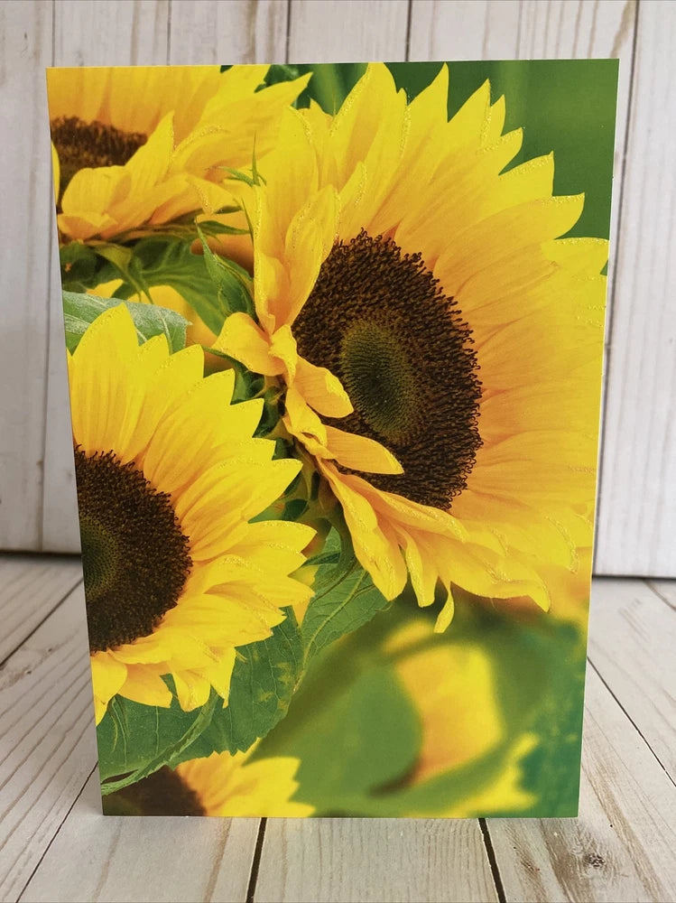 Yellow sunflower card blank with large blooms and green leaves