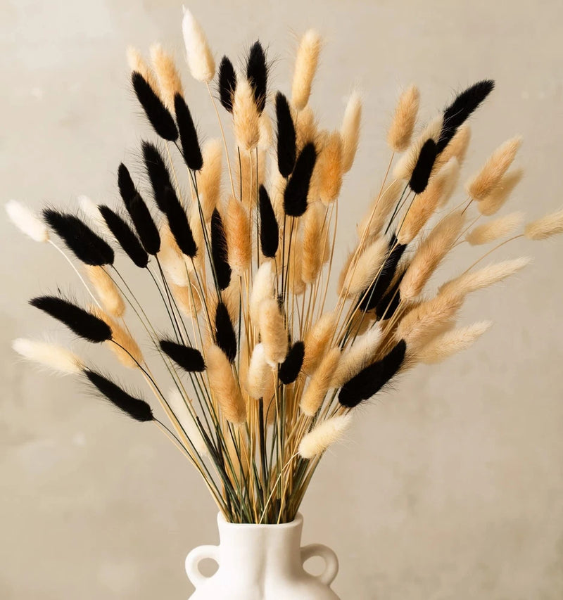 100 Stems Bunny Tails Pampas Grass Dried Flowers - 30pcs Black, 30pcs White, ... Pampas Grass