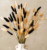 100 Stems Bunny Tails Pampas Grass Dried Flowers - 30pcs Black, 30pcs White, ... Pampas Grass