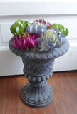 Artificial Sleep lotus Succulent Mini Plants Grass (3 colors) Set of 6 Green Plant