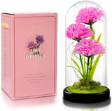 QUELIEN Carnation Flowers Gifts for Mom,Pink Artificial Carnation in Glass Dome Carnation