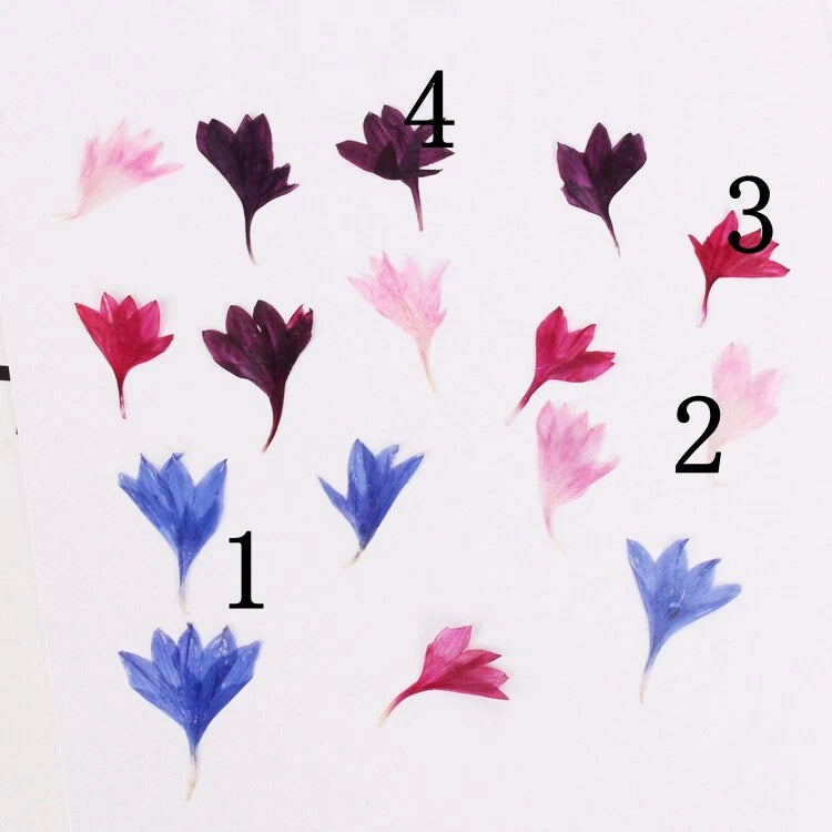 Pressed cornflower petals, assorted dark pink, red and blue hues, 20-piece set
