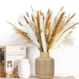 Pampas Grass Decor-Natural Dried Flowers, Reed Grass Bouquet(120 pcs) Pampas Grass