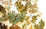 Oak Leaves 116 Assorted Sizes Mostly Light Green & Tan Branches Wreaths Crafts Dried Flower