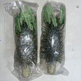set of 2- 8 Inch Artificial Cactus Plant green Imperial Silk foliage w/ leaves Green Plant