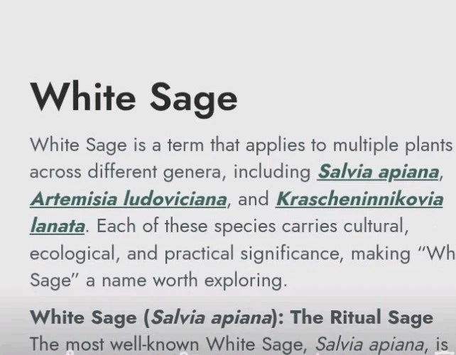 White sage informational card with text about White Sage varieties