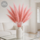 Natural Dried Pampas Grass 24 In. Reed Flower Wedding Bouquet Home Decors Pampas Grass