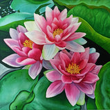 Water Lilies Original Oil Painting Flowers Picture Modern Wall Art Lily