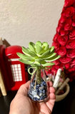 Artificial Potted Succulent Flower Green Echeveria Science Decor Lapis Lazuli Green Plant
