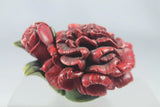 Harmony Kingdom Ball - Red 'Carnation' RETIRED 2004 Edition 1 #HG5CA New In Box Carnation