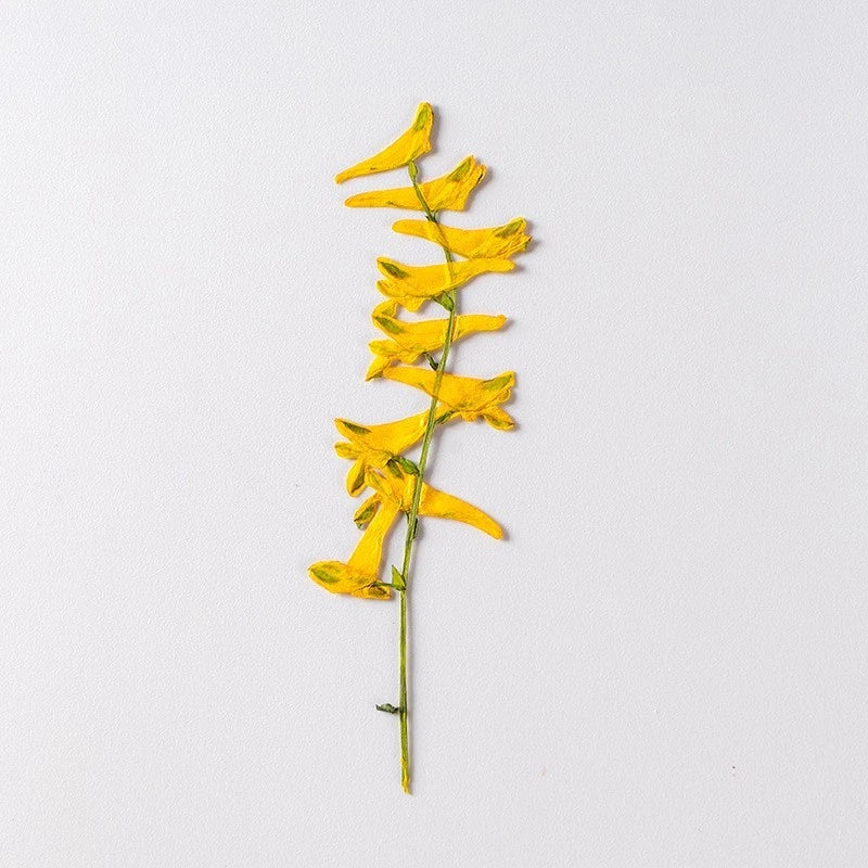 Yellow pressed dried flower sprig with thin green stem for crafting