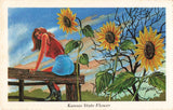 Kansas State Flower, Helianthus, Native Wild Sunflower, Vintage Postcard Sunflower