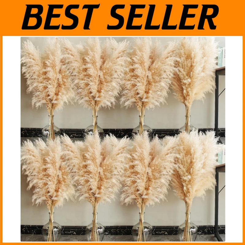 Elegant 40" Tall Pampas Grass Pampas Grass