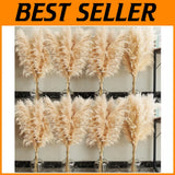 Elegant 40" Tall Pampas Grass Pampas Grass