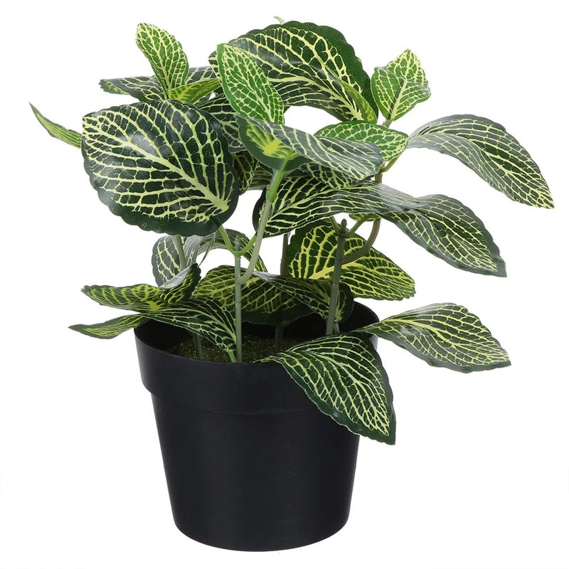 Artificial faux green leafy plant with patterned veins in matte black pot