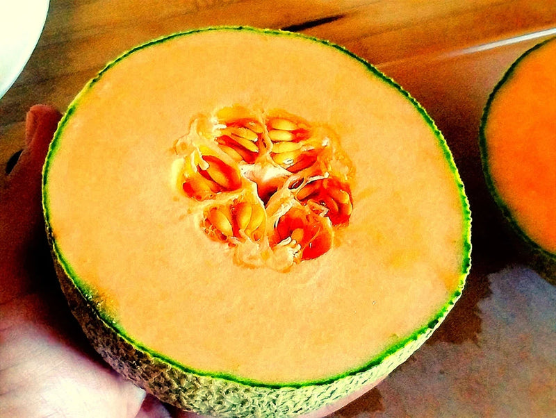 25 Ct. Great Lakes Compact Cantaloupe (Muskmelon) Seeds - MICHIGAN GROWN! Flowering Plants