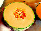 25 Ct. Great Lakes Compact Cantaloupe (Muskmelon) Seeds - MICHIGAN GROWN! Flowering Plants