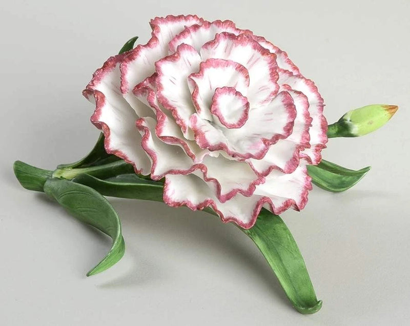 Lenox Garden Flowers Carnation - No Box 1234624 Carnation