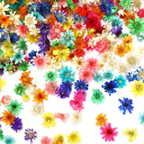 420 Pcs Small Dried Flowers for Crafts, Mini Dried Flowers for Resin Nail Real N Dried Flower