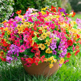 florisso Artificial Flowers for Outdoors Daisy 12 Bundles for Home Decoration Flowering Plants