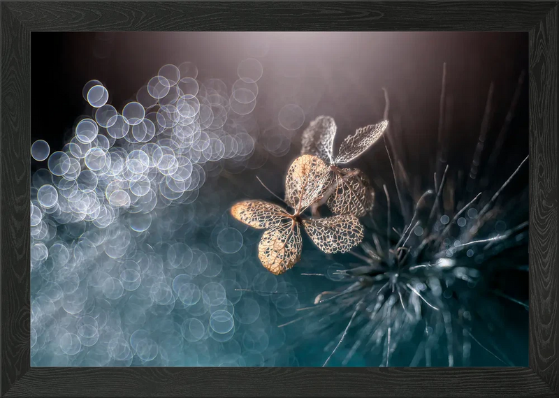 Macro hydrangea flower Framed Wall Art Poster Canvas Print Picture Hydrangea