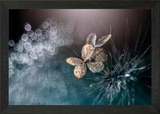 Macro hydrangea flower Framed Wall Art Poster Canvas Print Picture Hydrangea