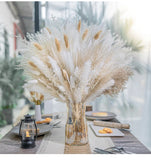 Floral Dream Pampas Grass Decor Bouquet Pampas Grass