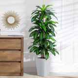Artificial Dracaena Tree with White Tall Planter, 5ft Tall Potted Artificial Dra Green Plant